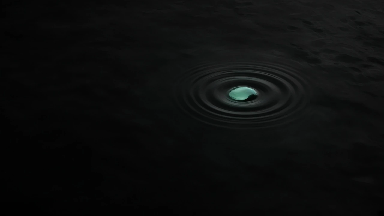A single pale ripple on a black sea.